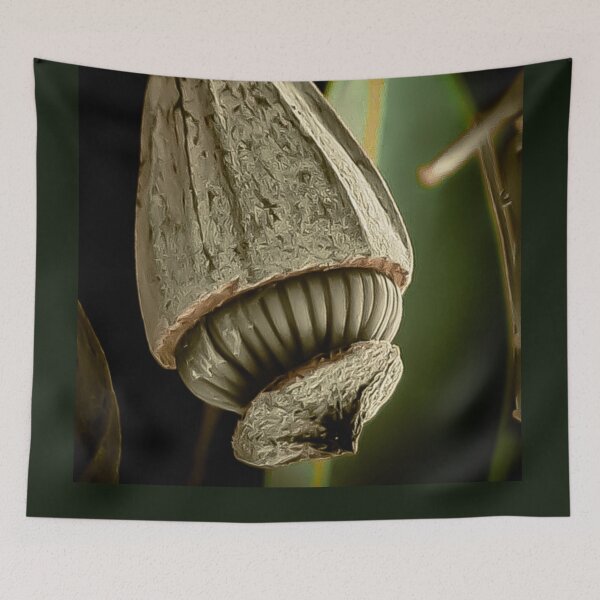 Item preview, Green Gum Nut designed and sold by Loren Vanzella Photographer.