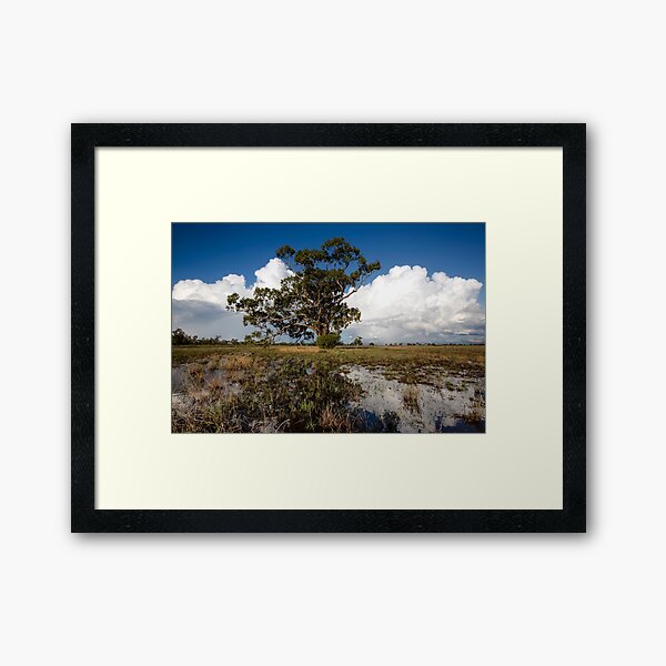 Item preview, Baradine Storm Tree designed and sold by Downunder Views.
