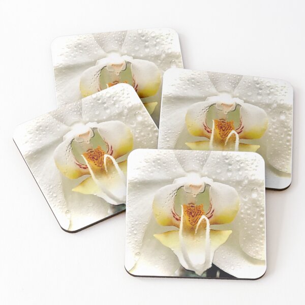 Item preview, White orchid with water droplets designed and sold by LyLauDesign.