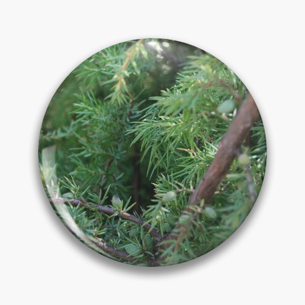 Item preview, Juniper tree with berries designed and sold by FancyCatShop.
