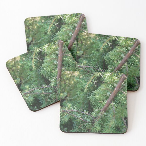 Item preview, Juniper tree with berries designed and sold by FancyCatShop.