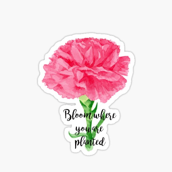 Bloom Where You Are Planted Sticker  Die Cut Stickers – Line and Kind  Paper Co.