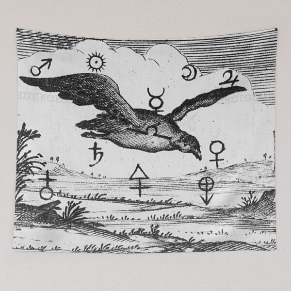 Item preview, Bird As Spirit designed and sold by Jason Tompkins.
