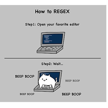 Artwork thumbnail, How to REGEX by coder-kitty