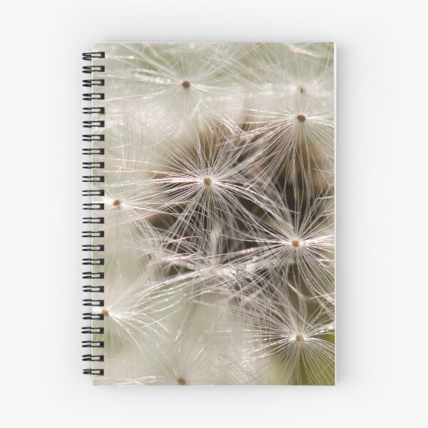 Item preview, Dandelion, dandelion designed and sold by Ingo Gerlach.