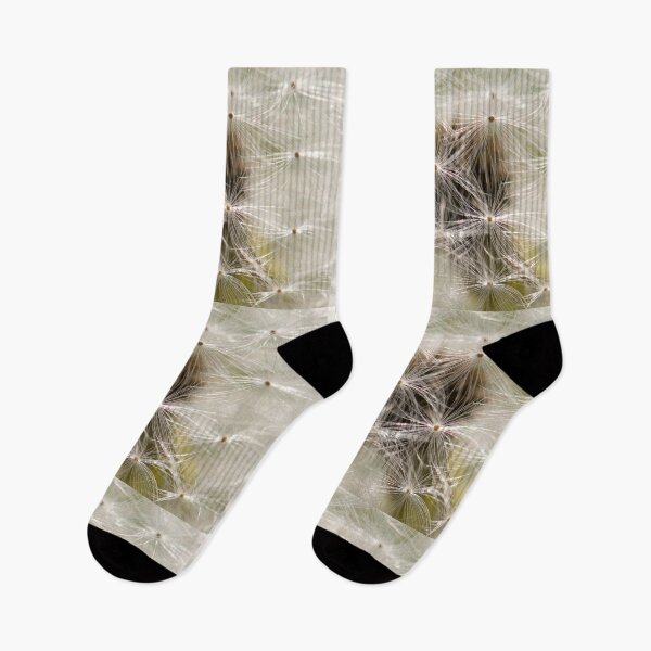 Item preview, Dandelion, dandelion designed and sold by Ingo Gerlach.