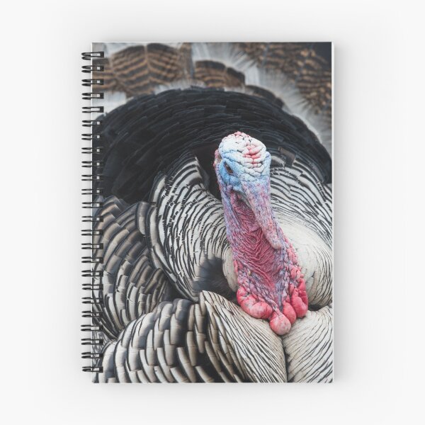 Item preview, Turkey designed and sold by Ingo Gerlach.