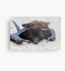 Victim Metal Print