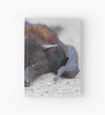 Victim Hardcover Journal