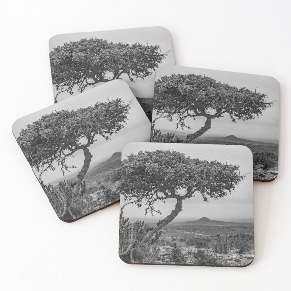 Item preview, Foggy morning in Karoo designed and sold by Rudi Venter.