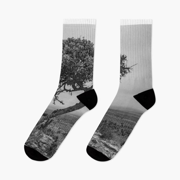 Item preview, Foggy morning in Karoo designed and sold by Rudi Venter.