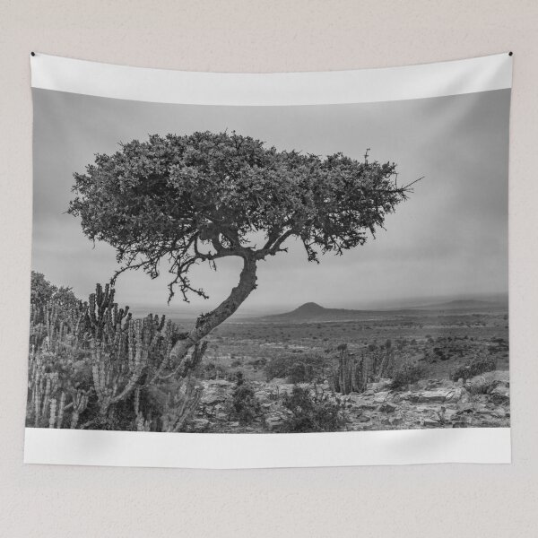 Item preview, Foggy morning in Karoo designed and sold by Rudi Venter.