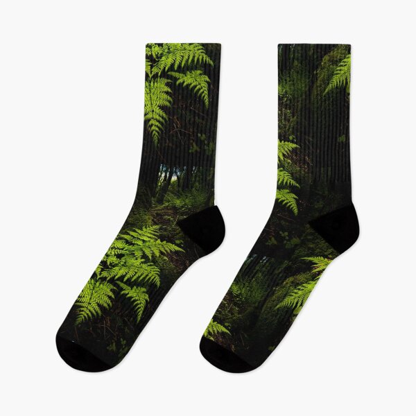 Item preview, Helecho verde en el bosque oscuro. designed and sold by Ingo Gerlach.