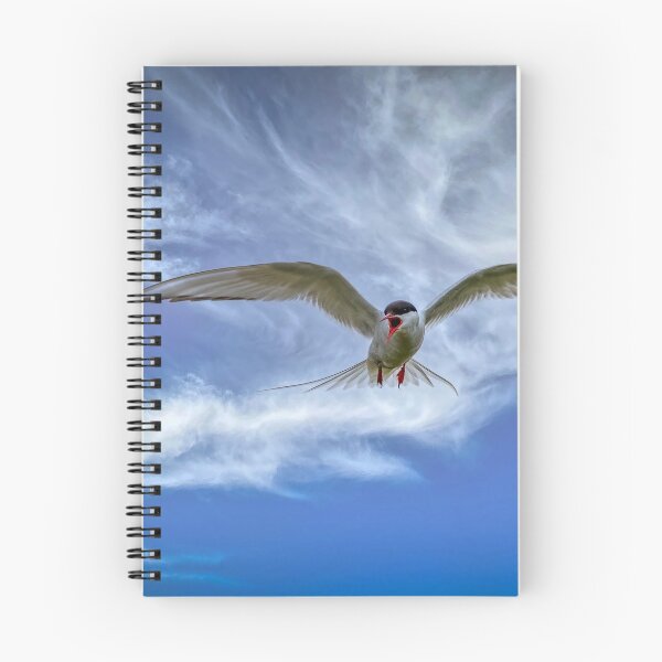 Item preview, An Angry Tern designed and sold by Viv Thompson Photography .