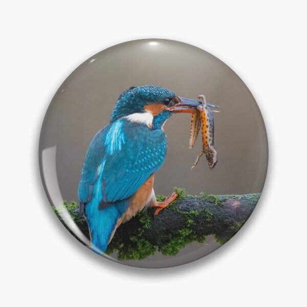 Item preview, Common Kingfisher (Alcedo atthis) designed and sold by Steve Liptrot Photography.
