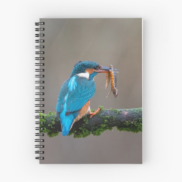 Item preview, Common Kingfisher (Alcedo atthis) designed and sold by Steve Liptrot Photography.
