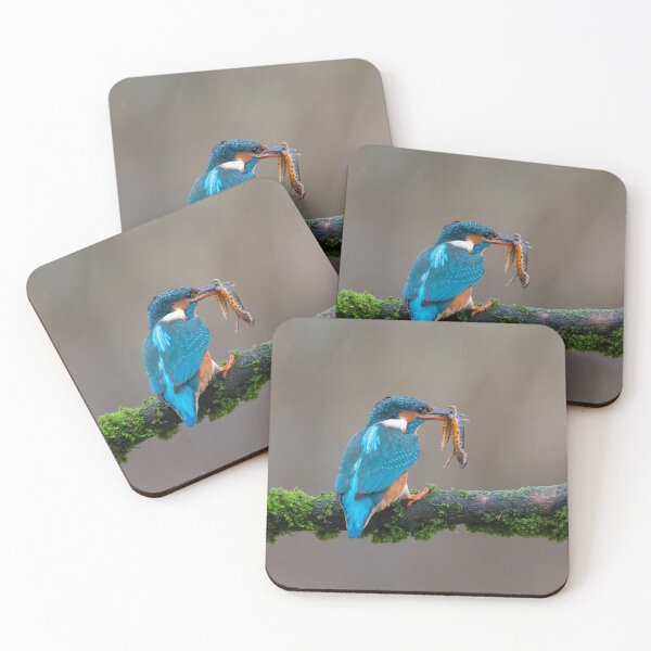 Item preview, Common Kingfisher (Alcedo atthis) designed and sold by Steve Liptrot Photography.