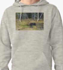Bull Moose, Algonquin Park Pullover Hoodie