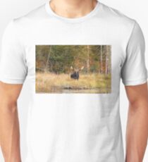 Bull Moose, Algonquin Park Unisex T-Shirt