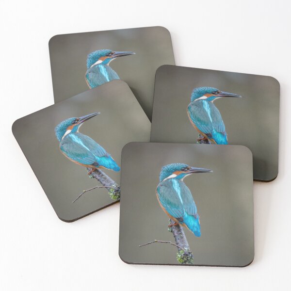 Item preview, Common Kingfisher designed and sold by Steve Liptrot Photography.