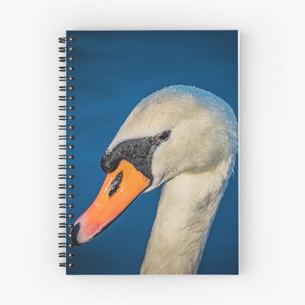 Item preview, Swan portrait designed and sold by AYatesPhoto.