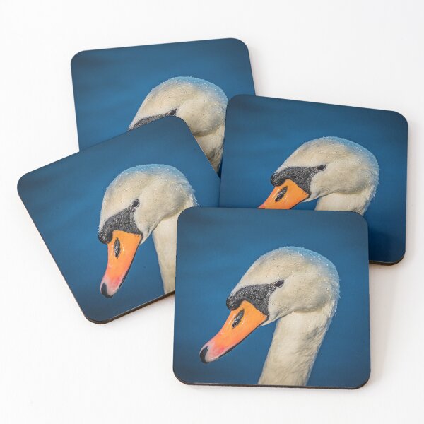 Item preview, Swan portrait designed and sold by AYatesPhoto.