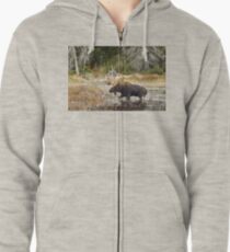 Bull moose - Algonquin Park Zipped Hoodie