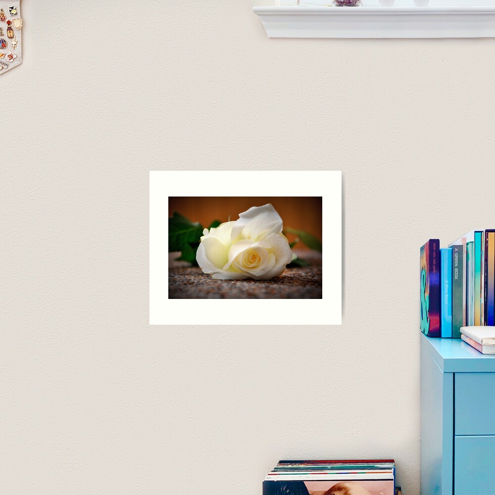 White rose Art Print