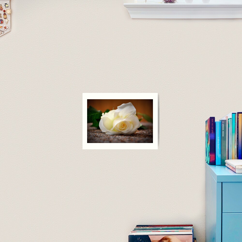 White rose Art Print