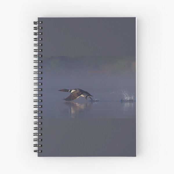 Item preview, Common loon skipping designed and sold by James Cumming.