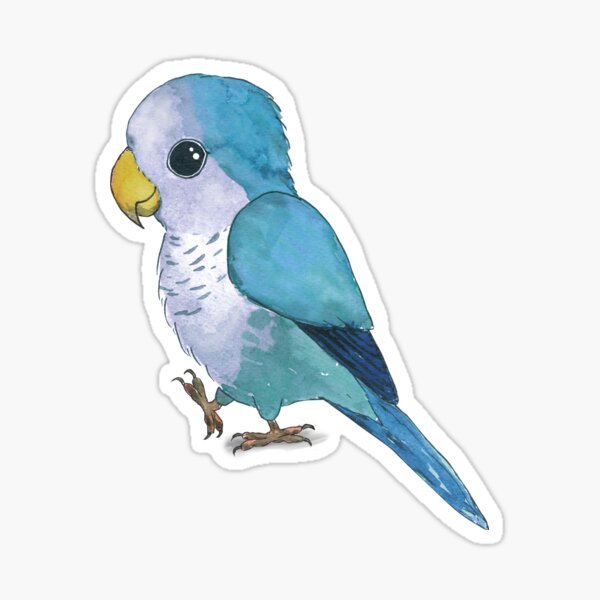 Very cute blue parrot Sticker