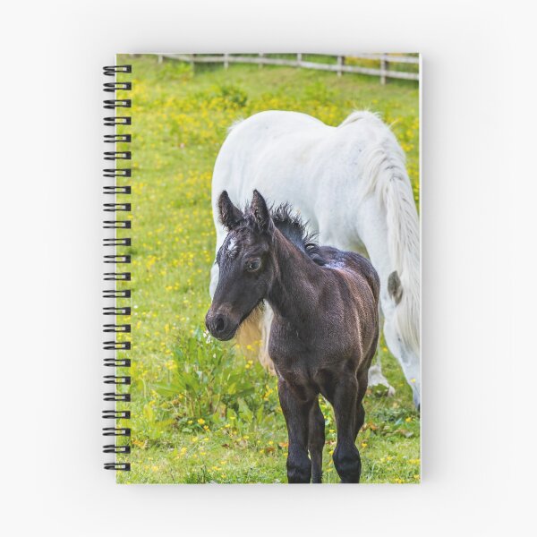 Item preview, Malhamdale Lockdown designed and sold by MJ-Piccys.
