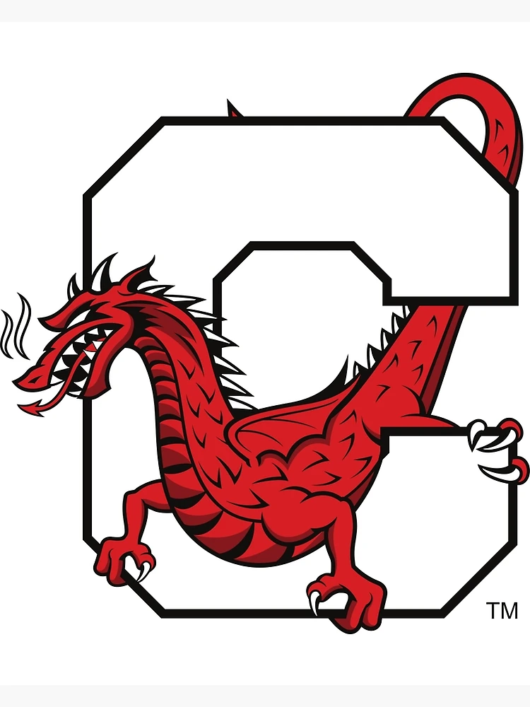 We are the Red Dragons - SUNY Cortland