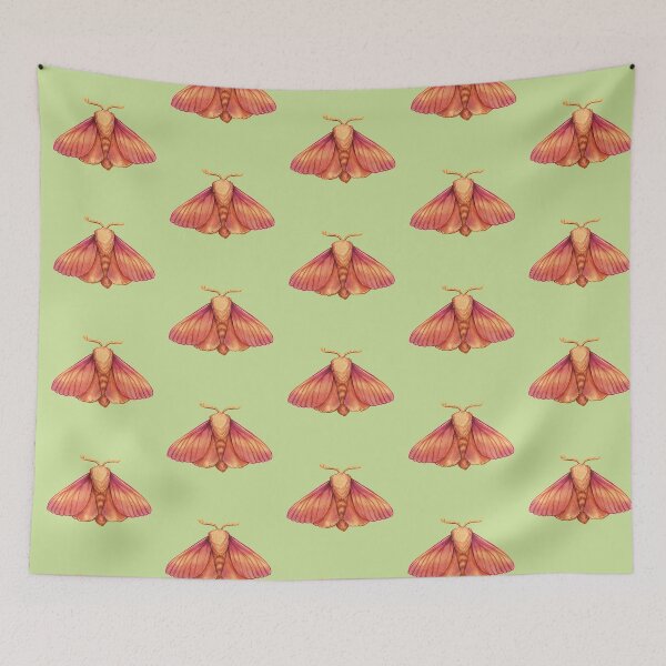 Item preview, Moths of Texas: Rosy Maple Moth designed and sold by malcontentious.