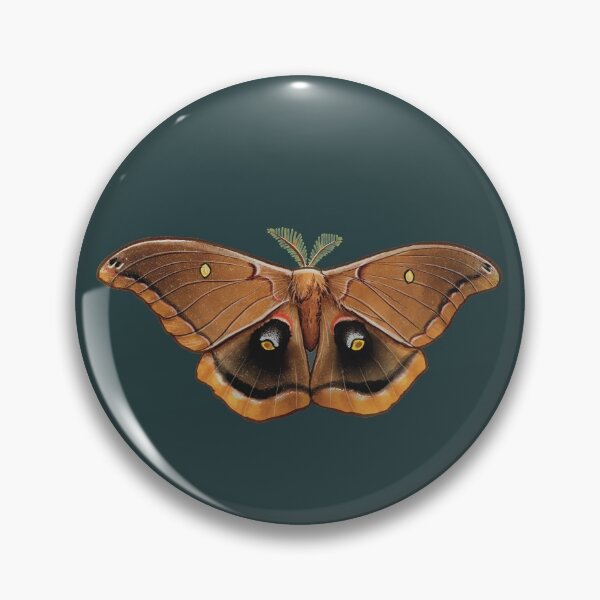 Item preview, Moths of Texas: Polyphemus Moth designed and sold by malcontentious.