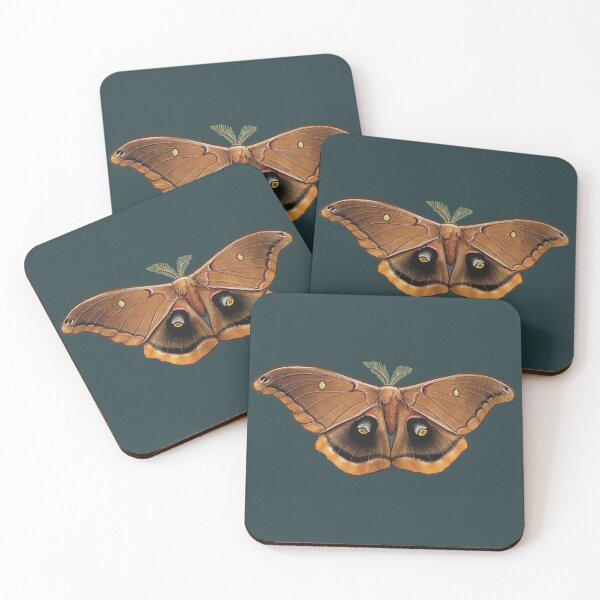 Item preview, Moths of Texas: Polyphemus Moth designed and sold by malcontentious.