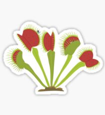 Venus Flytrap Sticker