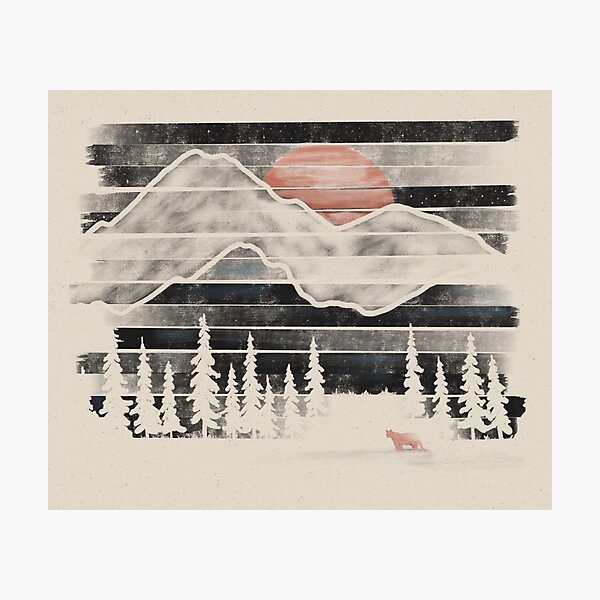 Mountain Lion at Midnight... Photographic Print