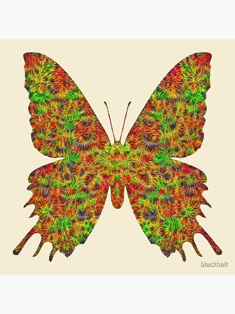 Butterfly by blackhalt