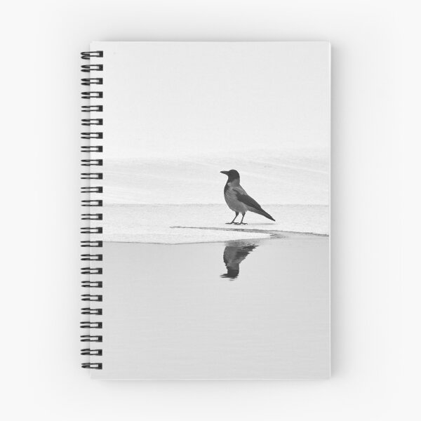 Item preview, The bold Hooden crow walking on thin ice designed and sold by Jouko Lehto Photography.