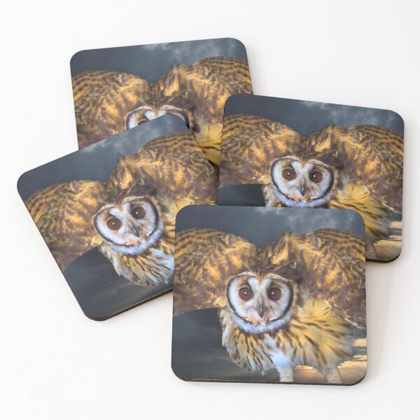 Item preview, This Injured Owl Required Help designed and sold by alabca.