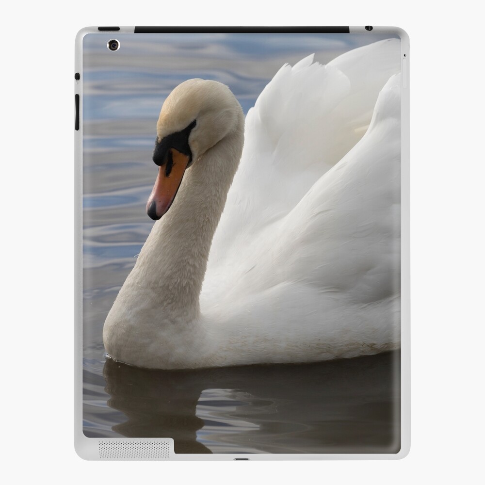 Item preview, iPad Skin designed and sold by AYatesPhoto.