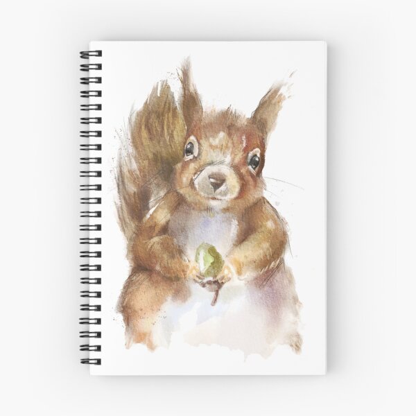 Item preview, Red Squirrel with Acorn designed and sold by AmeliaPlayer.