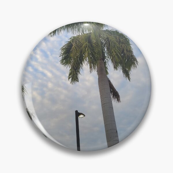 Item preview, Palm trees designed and sold by gloriasd14.