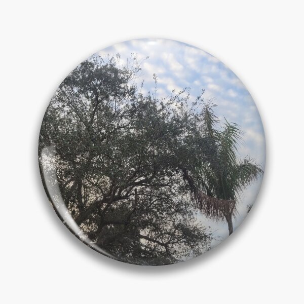 Item preview, Palm trees designed and sold by gloriasd14.