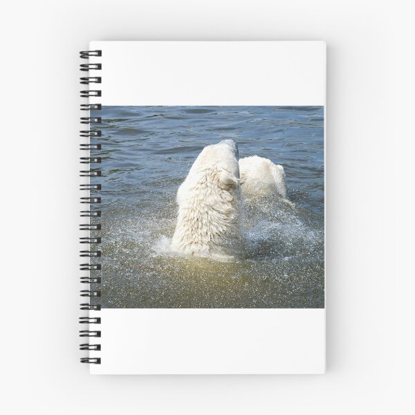 Item preview, Shaking polarbears designed and sold by Arie Koene.