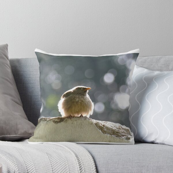 Item preview, Babbling Angrybird designed and sold by Amrita Neelakantan.