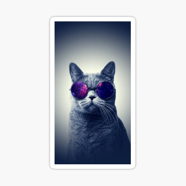 Cat With Space Glasses Gifts Merchandise Redbubble - space cats roblox