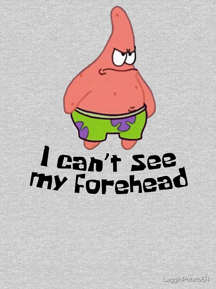 I Can't See My Forehead by LagginPotato64