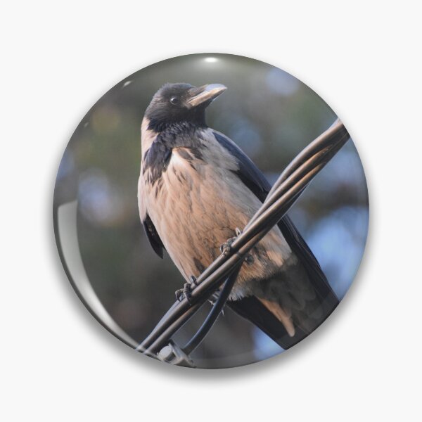 Item preview, Raven on a Wire designed and sold by DanaLauraPhoto.